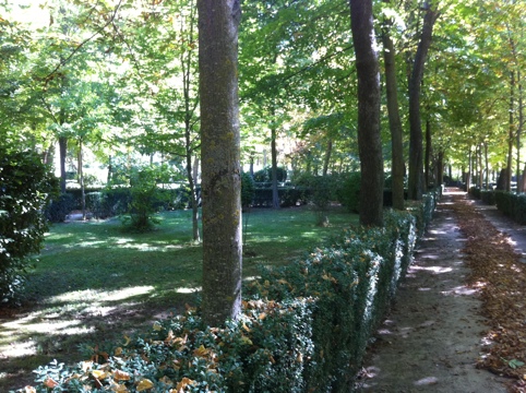The Gardens of Aranjuez