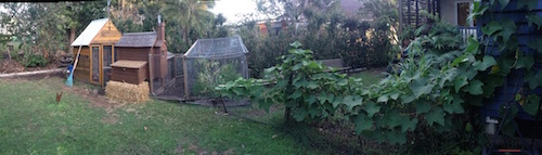 backyard panorama