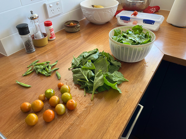 A kitchen tabletop with piles of Warrigal Greens, tomatoes and snap peas after rinsing.