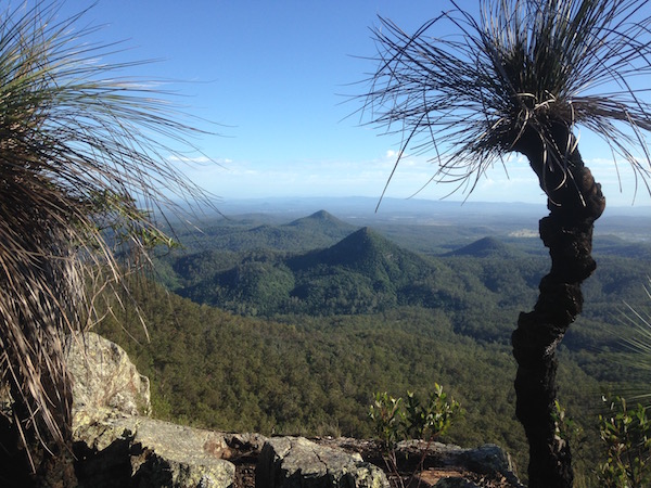 A view to the north east from the top of Flinders Peak towards Mount Blaine. Behind some forest-clad peaks lies a distant horizon fringed by high-level clouds and a blue sky. In the foreground is a rocky outcrop with gnarled grass-trees to the left and the right.